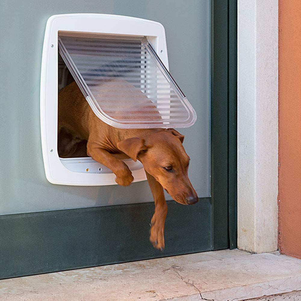 Pet Door for cats and dogs SWING 11- Pet type Dog (White)